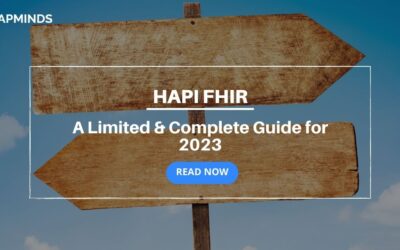 HAPI FHIR guide