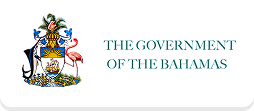 Logo 13